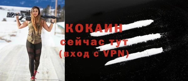 герыч Мегион