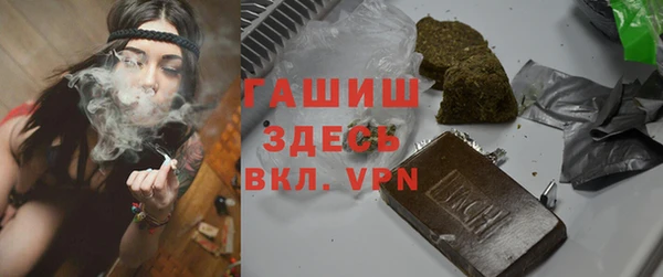 прущие грибы Магас