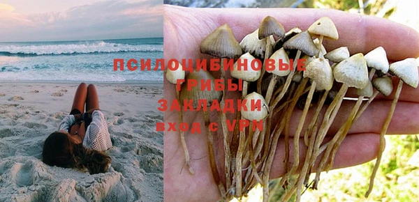 стаф Магадан
