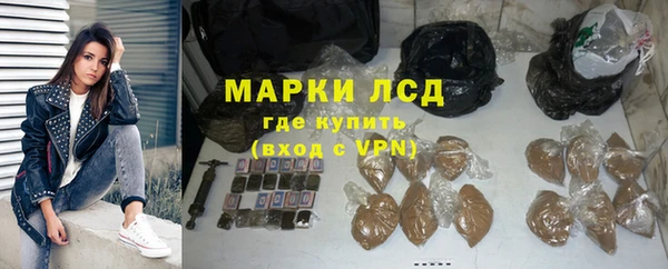 прущие грибы Магас