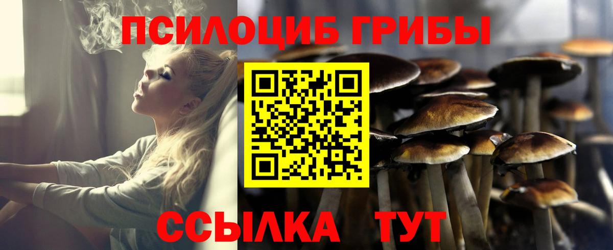 Псилоцибиновые грибы Cubensis  Псилоцибиновые грибы мухоморы  Вход с VPN  Братск 